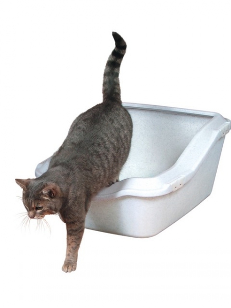 Katzentoilette Cleany Cat 45 × 21× 54 cm